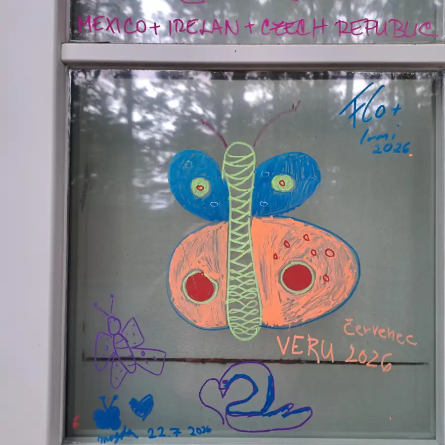 motýl na skle