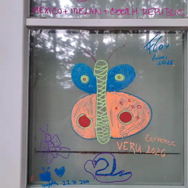 motýl na skle