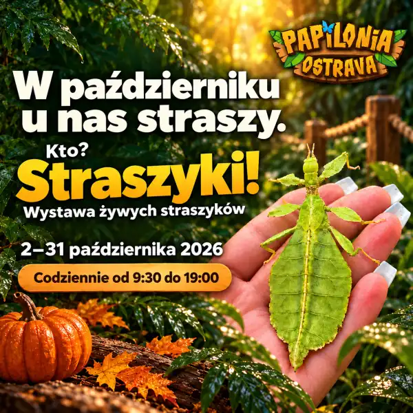 Wystawa straszyków – Papilonia Ostrawa