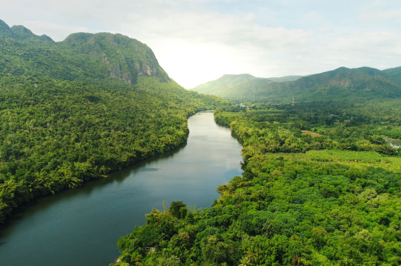 The Amazon Basin
